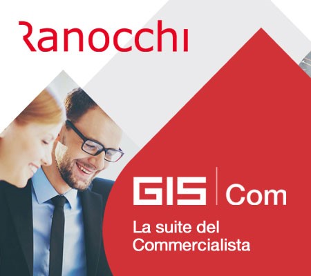 GIS, L’ERP Del Professionista